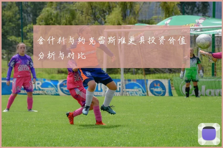 舍什科与约克雷斯谁更具投资价值分析与对比