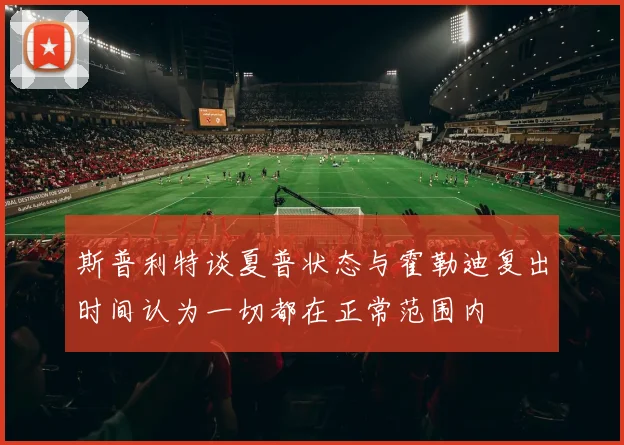 斯普利特谈夏普状态与霍勒迪复出时间认为一切都在正常范围内