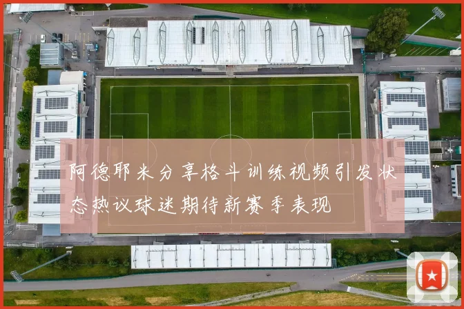 阿德耶米分享格斗训练视频引发状态热议球迷期待新赛季表现