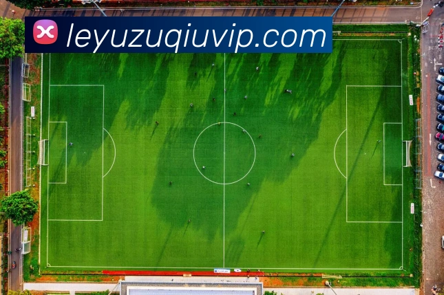 乐鱼体育品牌故事